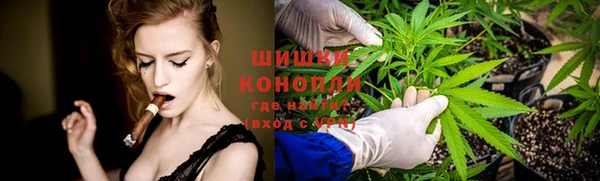 трава Богородицк