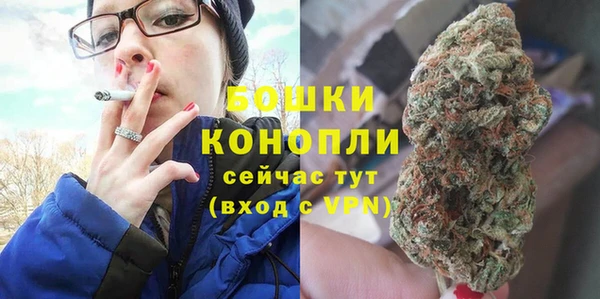 гидропоника Богданович