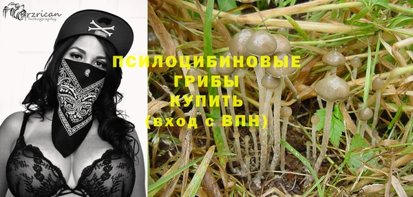спайс Беломорск