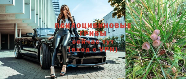 прущая мука Богородск