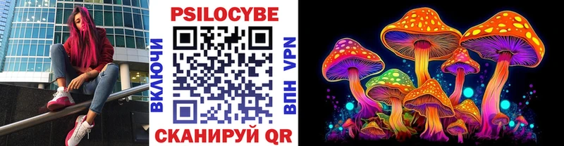 Галлюциногенные грибы мицелий  где купить наркотик  Новороссийск 